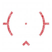 EoTech EXPS3-DCR Holosight - Black