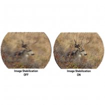 Sig Sauer ZULU6 HDX Pro 14x50mm Image-Stabilized Binoculars