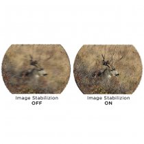 Sig Sauer ZULU6 HDX 10x30mm Image-Stabilized Binoculars