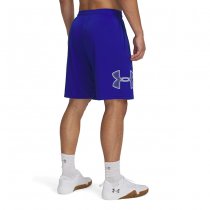 Under Armour Tech Graphic Shorts - Royal / White - S