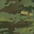 Multicam Tropic